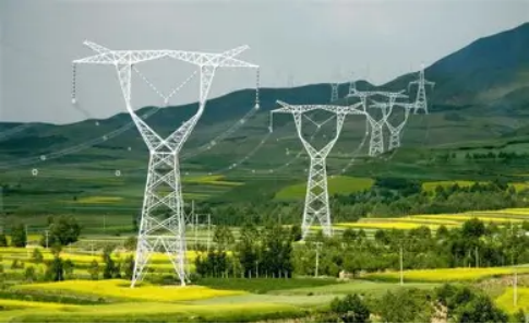 国办发〔2026〕4号文件解读